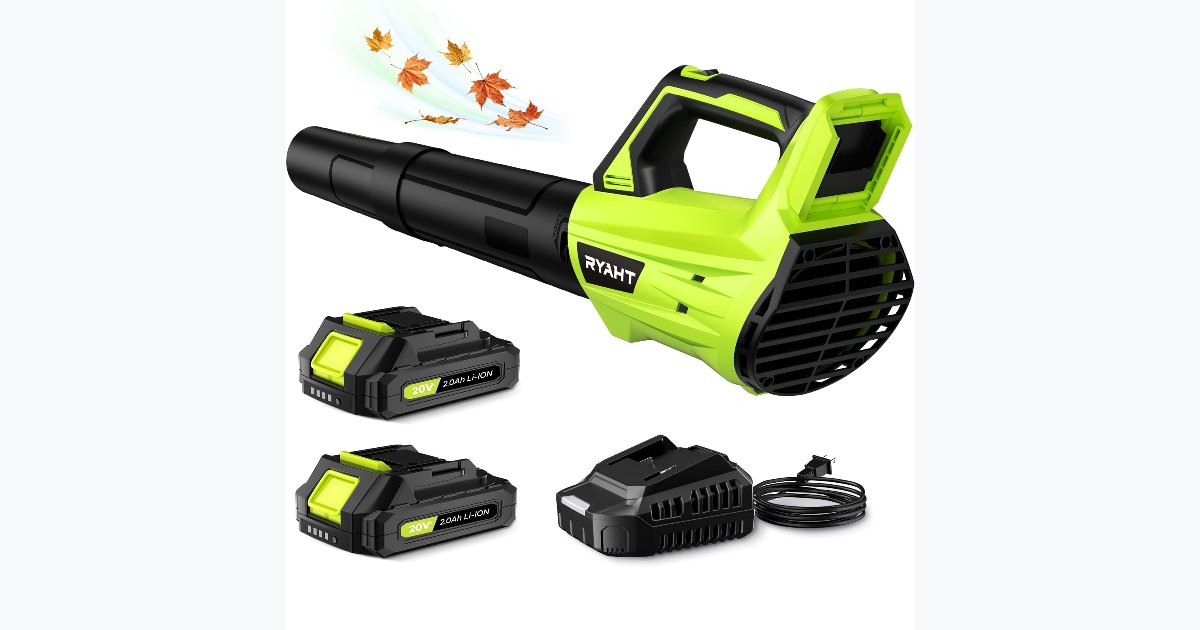 27% OFF · Cordless Leaf Blower Kit, 20V with 2 Batteries and Charger, 2 Speeds