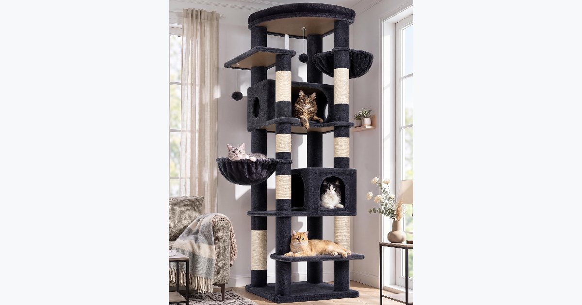 38% OFF · Globlazer 74in Cat Tree Tower